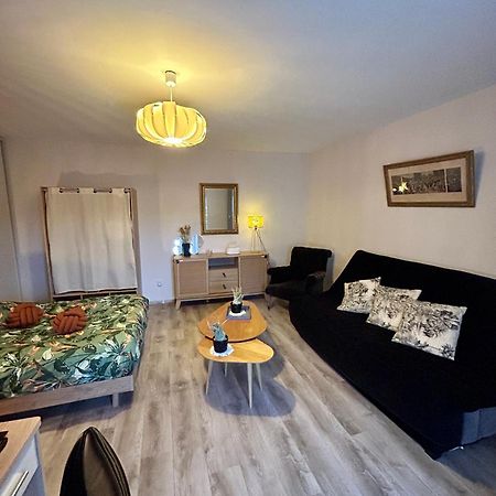 Charmant Studio De 50 M2 Шомон Экстерьер фото