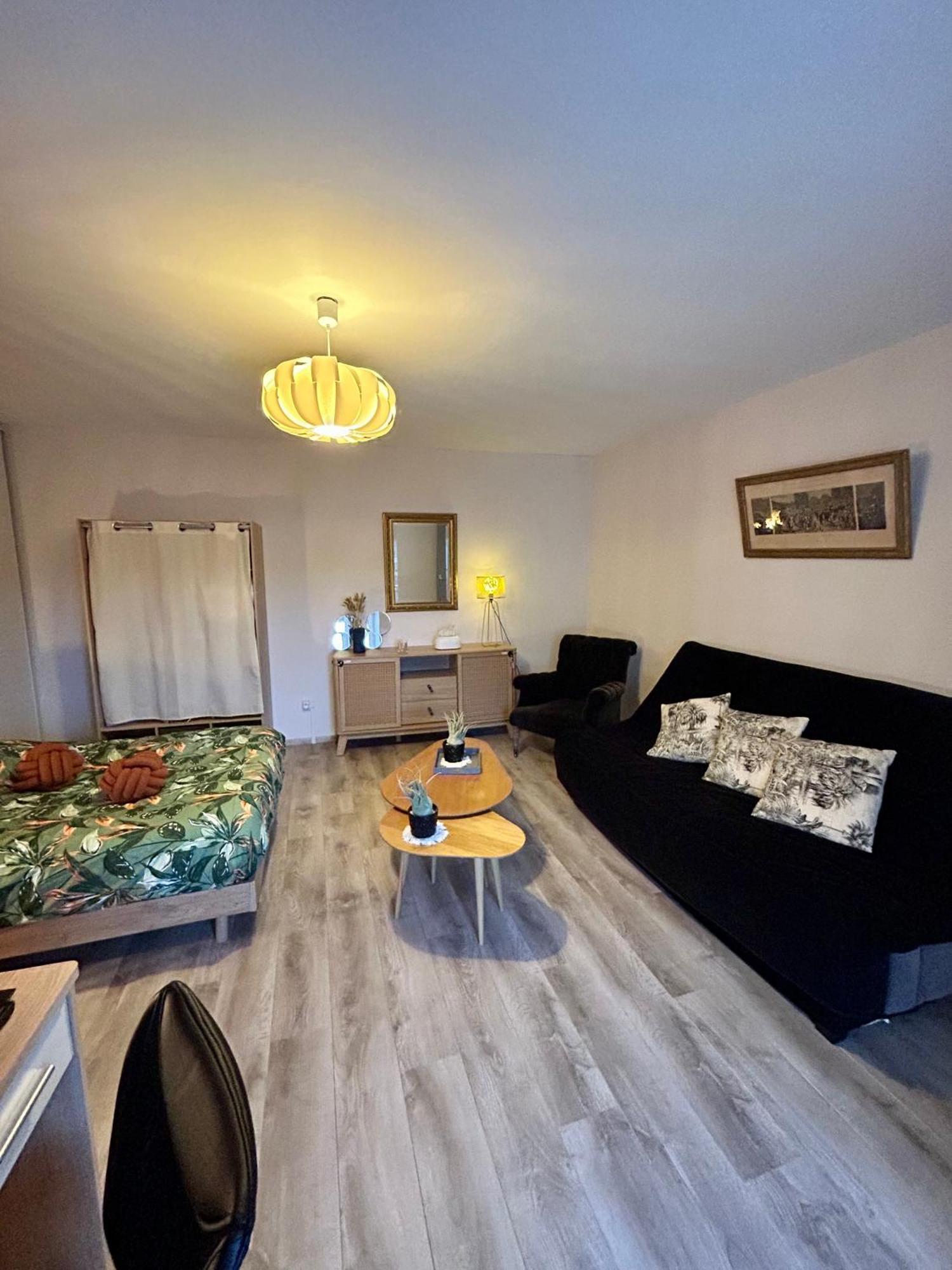 Charmant Studio De 50 M2 Шомон Экстерьер фото